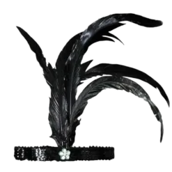 Bandeau Charleston Noir Avec Plumes