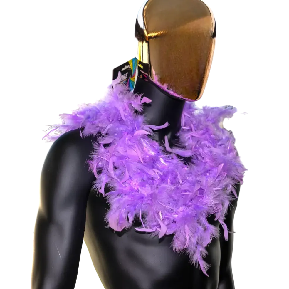 Boa en Plumes Violet - 180 cm