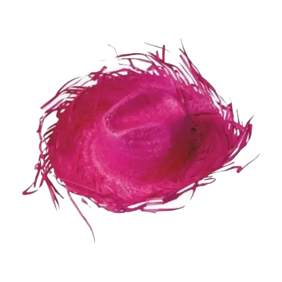 Chapeau Cowboy Caraïbe Rose