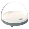 ENCEINTE BLUETOOTH LUMINEUSE 5W + CHARGEUR ET MAINS LIBRES