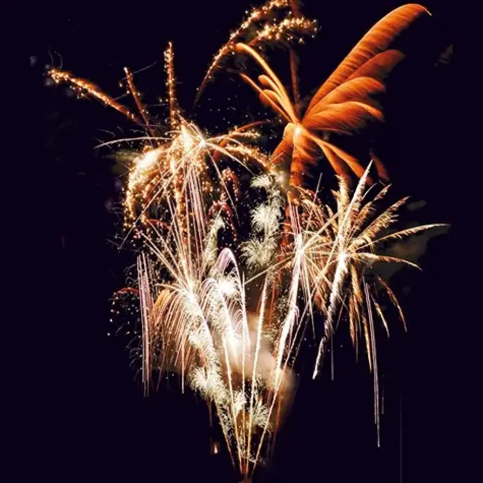 FEU D’ARTIFICE PORTABLE® LUXE PYROTECHNIQUE FRANÇAIS - 3 MIN