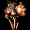 FEU D'ARTIFICE TOTAL - PORTABLE® LPF II - 2min30
