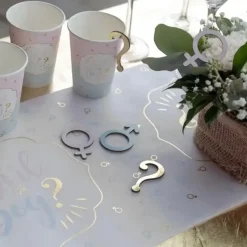 Gobelet Gender Reveal Girl or Boy ? 27cl - Lot de 10