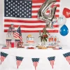 Guirlande Fanions USA