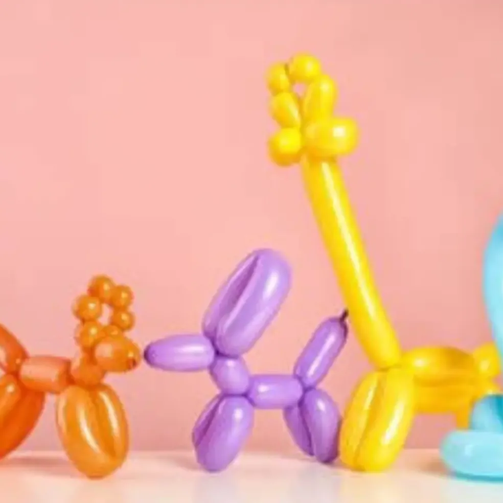 Lot de 50 ballons à modeler Taille 150cm