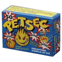 Lot de 10 boites de PETSEC®