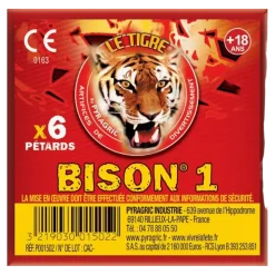 Lot de 10 paquets de pétards BISON® 1 (6 unités/paquet)