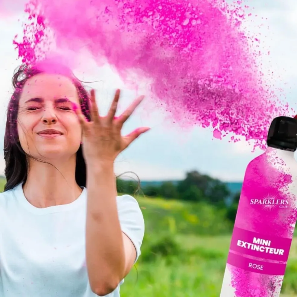 Mini Extincteur à poudre Holi - Rose
