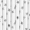 Paille en papier blanche étoile argent (lot de 10)
