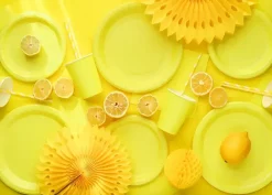 10 Pailles en Papier Jaunes Rayées 19,5 cm – Pailles Jetables de Fête