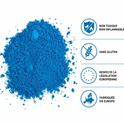 Poudre Holi BLEU - Sac de 5kg