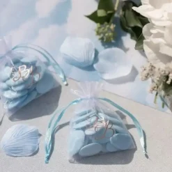 Sachet Organza BB Ruban Bleu (Lot de 6)
