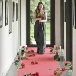 Tapis de cérémonie Rouge - 15m x 100cm