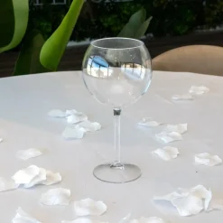 Verre Ballon transparent 65cl (Tritan)