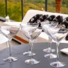 Verre à cocktail Martini 30cl (Tritan)